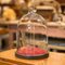 Antique English Edwardian Display Dome in Glass, 1910s 1