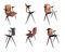 Mid-Century Plywood & Steel S22 Armchairs from Galvanitas and Pagholz, 1960s, Set of 6 3