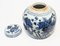 Chinese Blue and White Porcelain Urns with Goldfish, Set of 2 7