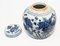 Urnas chinas de porcelana azul y blanca con peces de colores. Juego de 2, Imagen 7
