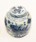 Chinese Blue and White Porcelain Urns with Goldfish, Set of 2 3