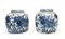 Chinese Blue and White Porcelain Urns with Goldfish, Set of 2 1