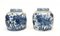 Urnas chinas de porcelana azul y blanca con peces de colores. Juego de 2, Imagen 1