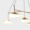 Emily Group of Five Ceiling Lamp in Brass by Daniel Becker 3