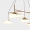 Emily Group of Five Deckenlampe aus Messing von Daniel Becker 3