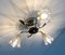 Lampada da soffitto floreale di Emil Stejnar per Rupert Nikoll, Austria, anni '50, Immagine 20