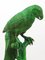 Große französische dekorative Papageienfiguren aus Bronze, 1970er, 2er Set 8