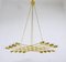 Austrian Brass Chandelier from Rupert Nikoll, 1950s 4