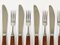 Mid-Century Austrian Boxed Cutlery from Amboss, 1950s, Set of 12 5