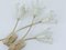 Silver-Plated Flower Sconces by Emil Stejnar for Rupert Nikoll, 1950s, Set of 2, Image 4