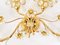 Large Gilt Brass & Crystals Flower Wall Light from Palwa, 1970s, Image 4