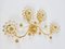 Large Gilt Brass & Crystals Flower Wall Light from Palwa, 1970s, Image 5