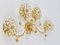 Large Gilt Brass & Crystals Flower Wall Light from Palwa, 1970s 11