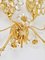 Large Gilt Brass & Crystals Flower Wall Light from Palwa, 1970s, Image 14