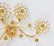 Large Gilt Brass & Crystals Flower Wall Light from Palwa, 1970s 10