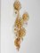 Lámpara de pared con flores grande de latón dorado y cristales de Palwa, años 70, Imagen 4