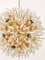 Gold-Plated Brass Blow Ball Sputnik Chandelier attributed toEmil Stejnar, 1970s 4