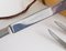 Boxed Amboss 2050 Carving Knives and Fork attributed to Helmut Alder, Austria, 1950s, Set of 3, Image 7