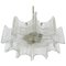 Mid-Century Star Frosted Glass Chandelier from Kalmar, Austria, 1960s, Image 1