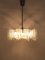 Mid-Century Star Frosted Glass Chandelier attributed to J. T. Kalmar for Kalmar, Austria, 1960s, Image 10
