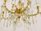 Lámpara de araña Vienna barroca de cristal dorado de Lobmeyr, años 40, Imagen 2