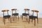 Model 5912 Dining Chairs from Zamojska Furniture Factory, 1960s, Set of 4, Image 1