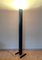 Zagar Floor Lamp by Sergio Carpani for Stilnovo, 1980s, Image 2