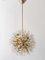 Gold-Plated Blowball Sputnik Pendant Light in the Style of Emil Stejnar, 1970s 3