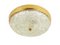 Mid-Century Round Brass and Textured Glass Flush Mount attributed to J. T. Kalmar for Kalmar, Austria, 1950s, Image 3