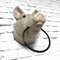 Pigs Head with Tea Towel Ring, 1940s 7