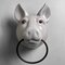 Pigs Head with Tea Towel Ring, 1940s 12