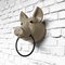 Pigs Head with Tea Towel Ring, 1940s 2