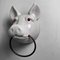 Pigs Head with Tea Towel Ring, 1940s 11