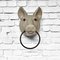 Pigs Head with Tea Towel Ring, 1940s 10