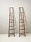 Vintage Wooden Library Ladder, 1950s, Image 1