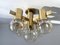 Vintage Brass & Glass Ceiling Lamp attributed to Sciolari, 1960s 5