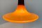 Mid-Century Tulip Glass Pendant Lamp from Peill & Putzler, 1960s 8