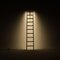 LED Line Light Ladder in Cherry by Noah Spencer 4