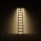 LED Line Light Ladder in Cherry by Noah Spencer, Image 4