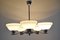 Mid-Century Chandelier attributed to Company Drukov, 1960s, Image 12