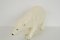 Large Porcelain Polar Bear Sculpture from Royal Dux, Czechoslovakia, 1925 4