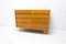 Mid-Century Czechoslovakian No. U-453 Chest of Drawers by Jiri Jiroutek, 1960s 14