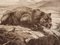 Evert Louis van Muyden, Lioness I, Etching, 1900 3