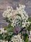 Maya Kopitzeva, White Lilac, 1996, Olio, Immagine 4