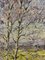 Georgij Moroz, Spring Birches, 2004, Oil on Canvas, Image 5