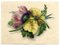 James Holland OWS, Fleur d'Hibiscus et de Coquelicot, 1825, Aquarelle 2