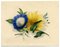 James Holland OWS, Morning Glory & Marguerite Daisy Flower, 1825, acquerello, Immagine 2