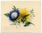 James Holland OWS, Morning Glory & Marguerite Daisy Flower, 1825, Aquarelle 2