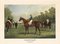 Jf. Herring Senior, Goodwood Gold Cup 1834, Colour Offset, 1972 1