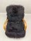 H269 Bentwood Armchair in Black Sheepskin by Jindřich Halabala, Image 28